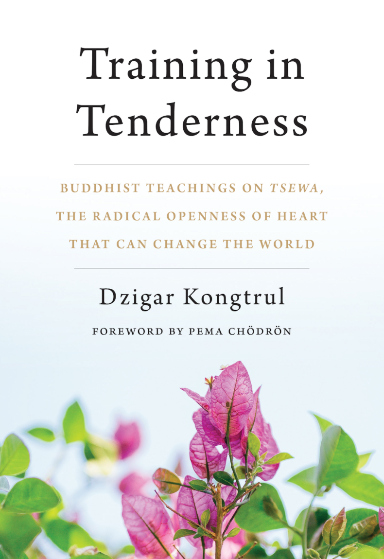 (image for) Training in Tenderness by Dzigar Kongtrul (epub)